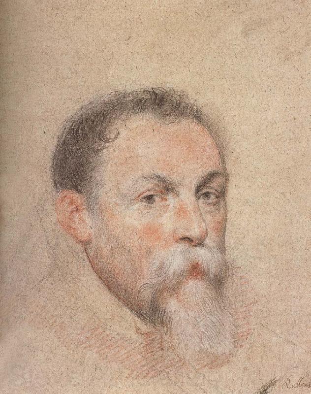 Peter Paul Rubens Portrait of Yien Norge oil painting art